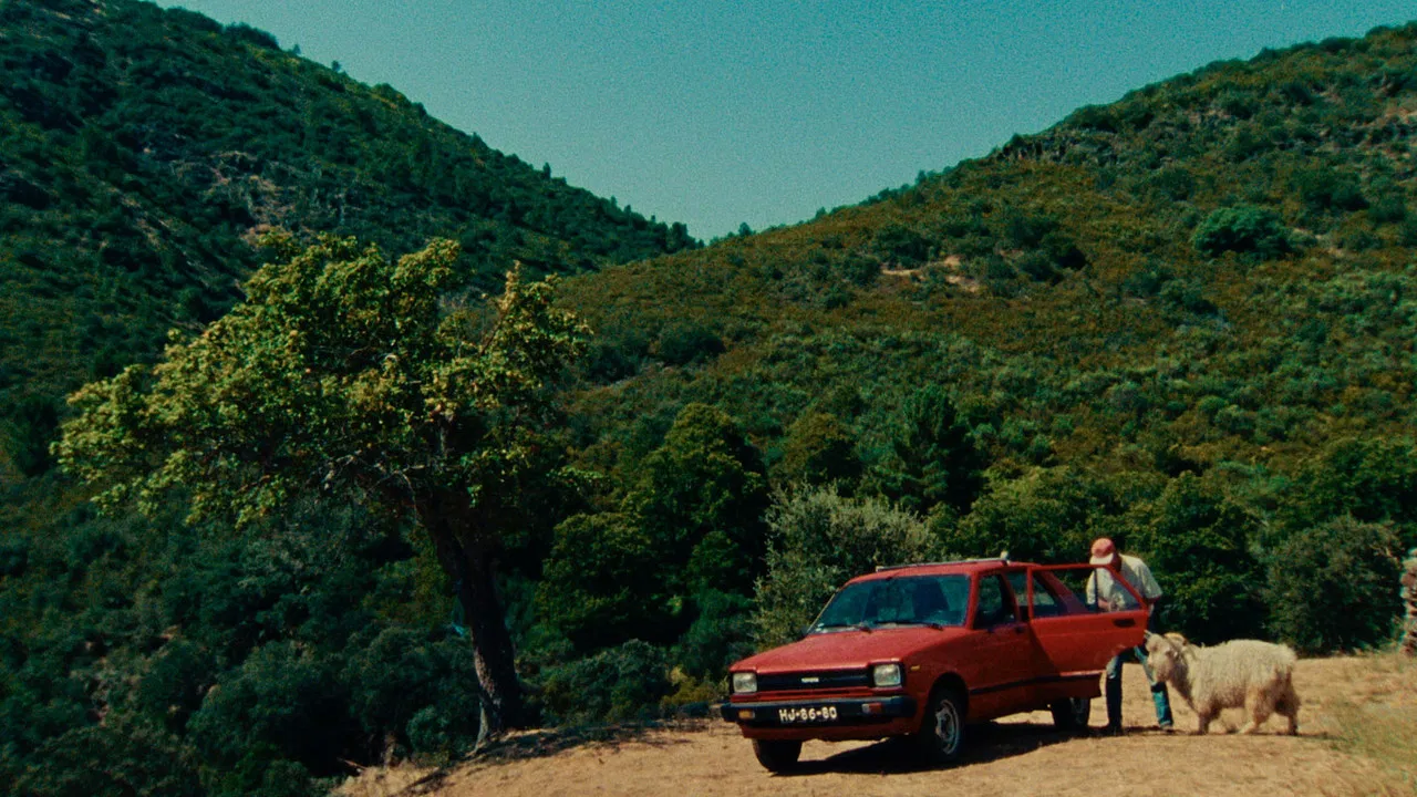 What Remains backdrop