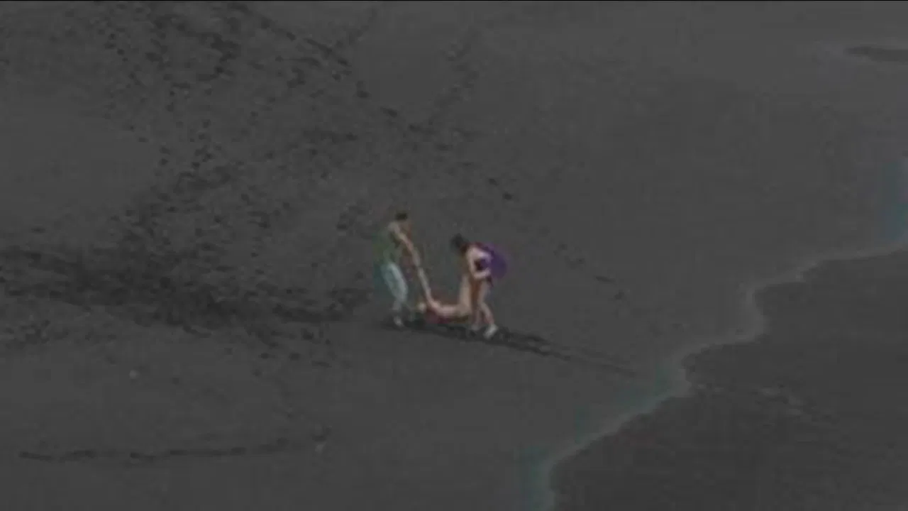 Three on the beach backdrop