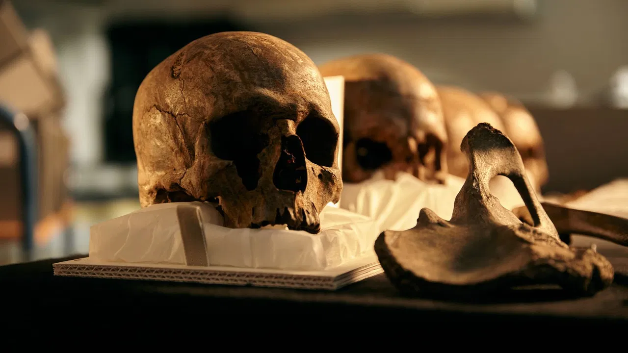 World's First Battlefield backdrop