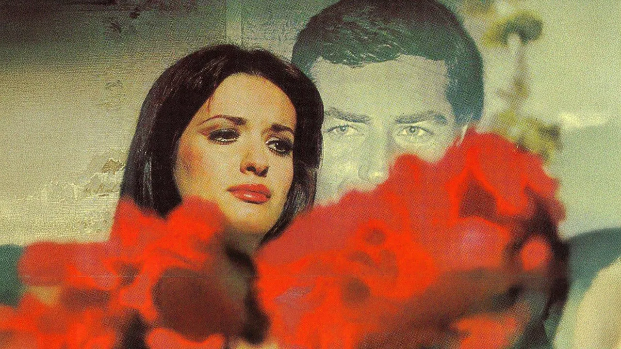 Deli Gibi Sevdim backdrop