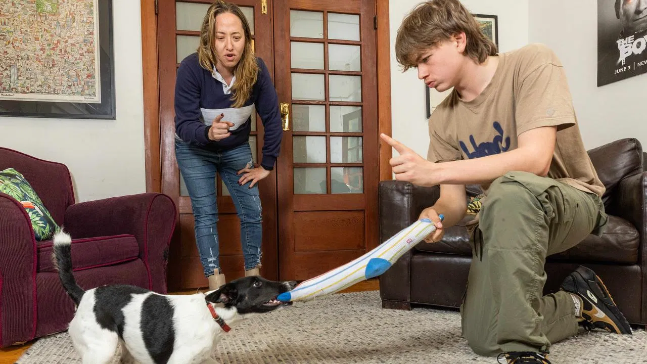 Dogs Behaving (Very) Badly Australia backdrop