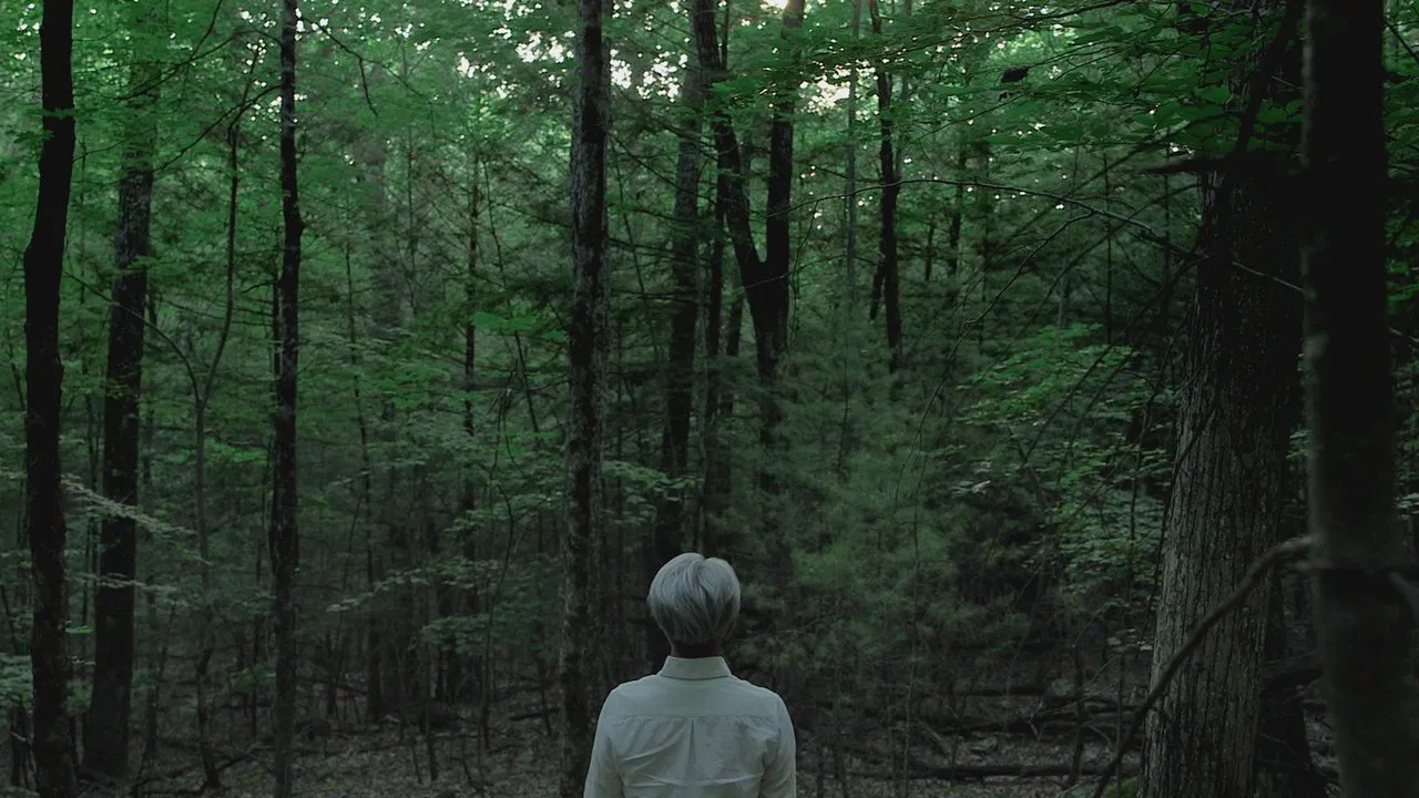 Ryuichi Sakamoto: Coda backdrop