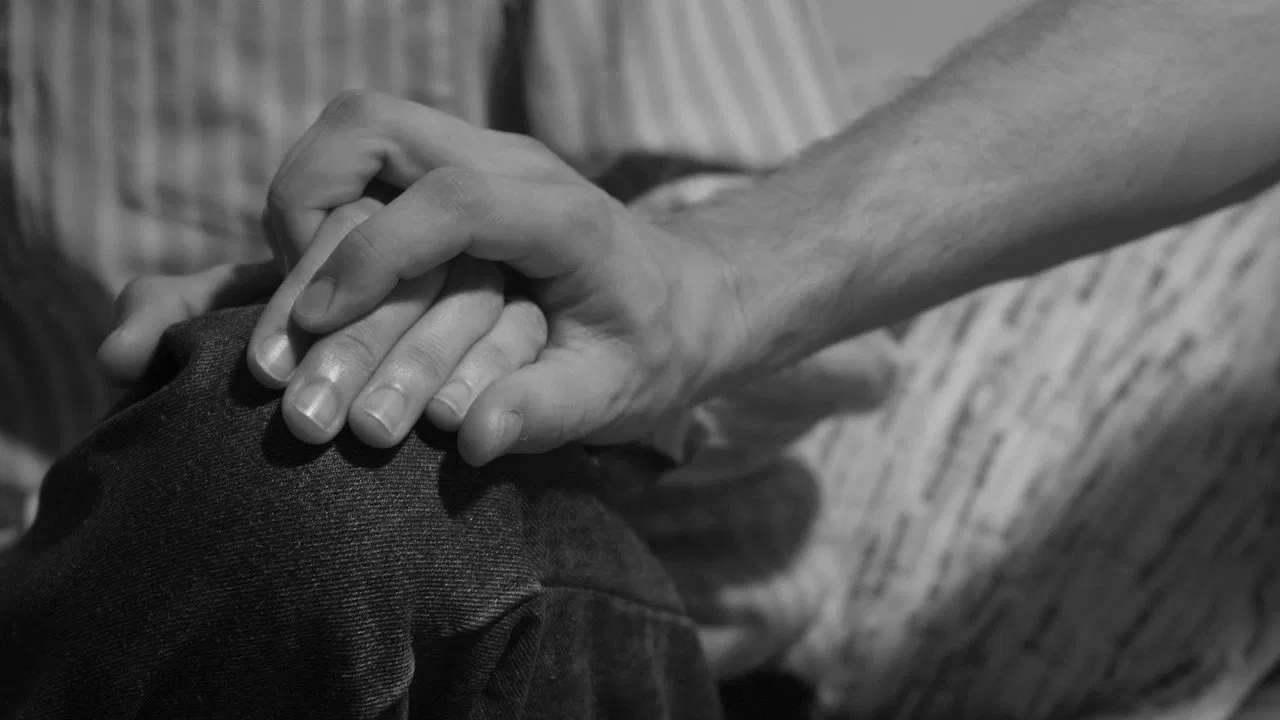 Jabberwockies backdrop