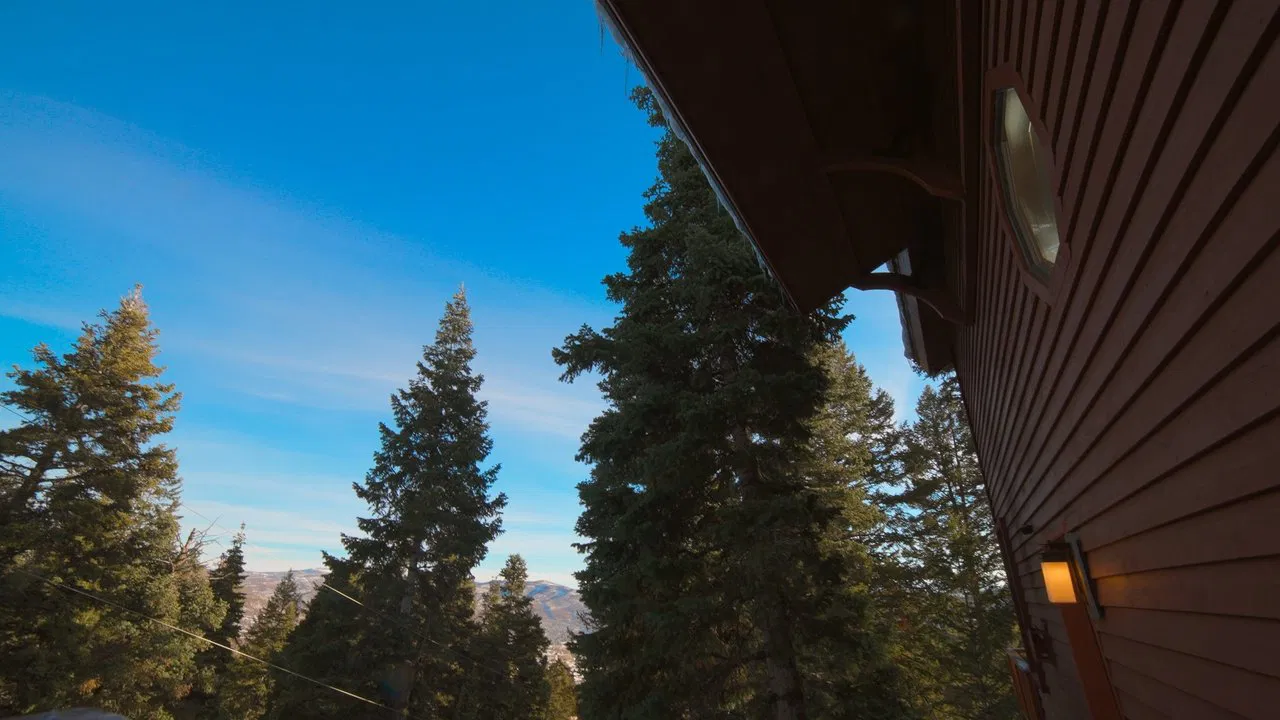 Donner Party 2 backdrop