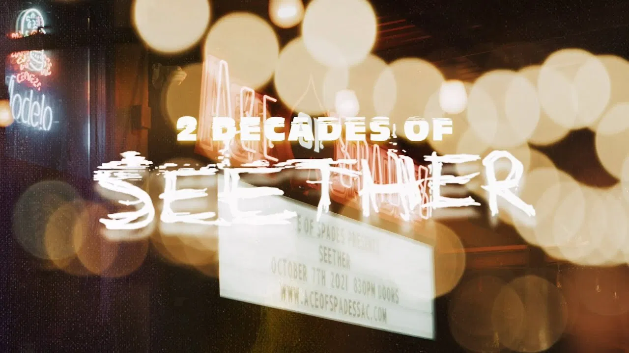 Seether | Vicennial Live Stream backdrop