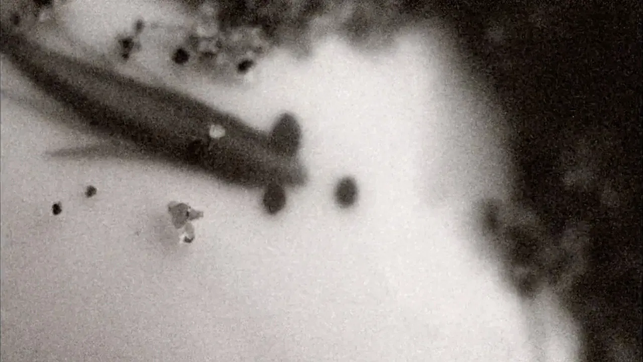 It Follows It Passes On backdrop