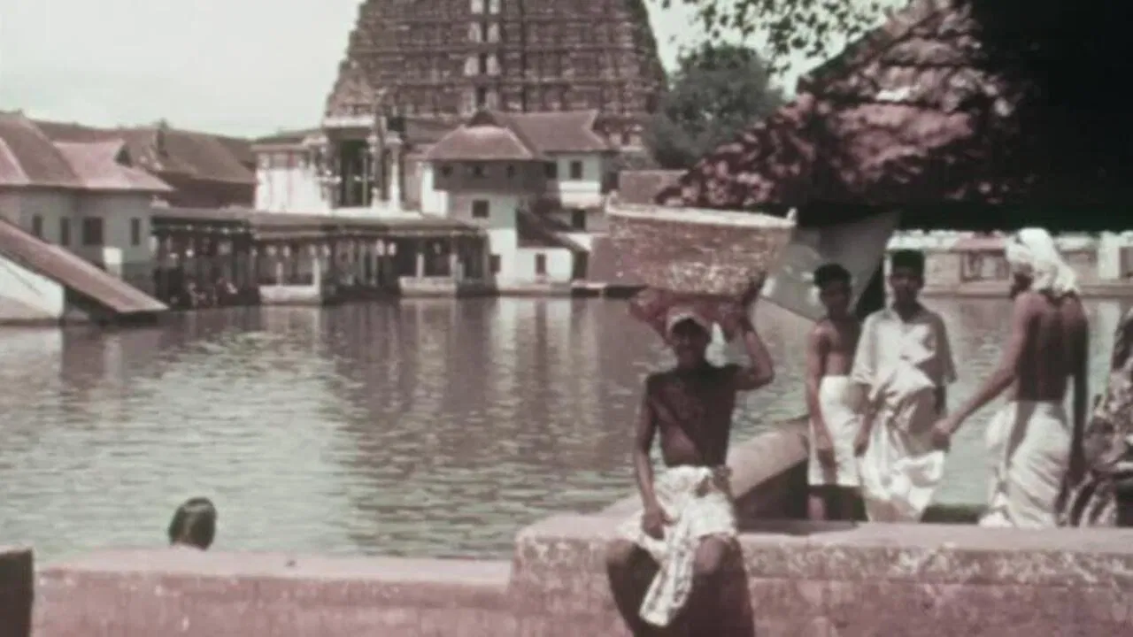 Street Scenes in India backdrop
