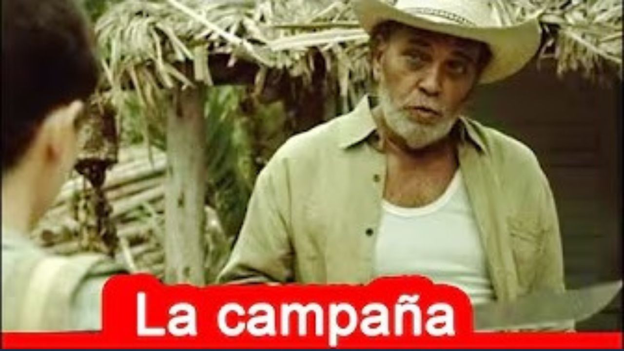 The Campaign backdrop