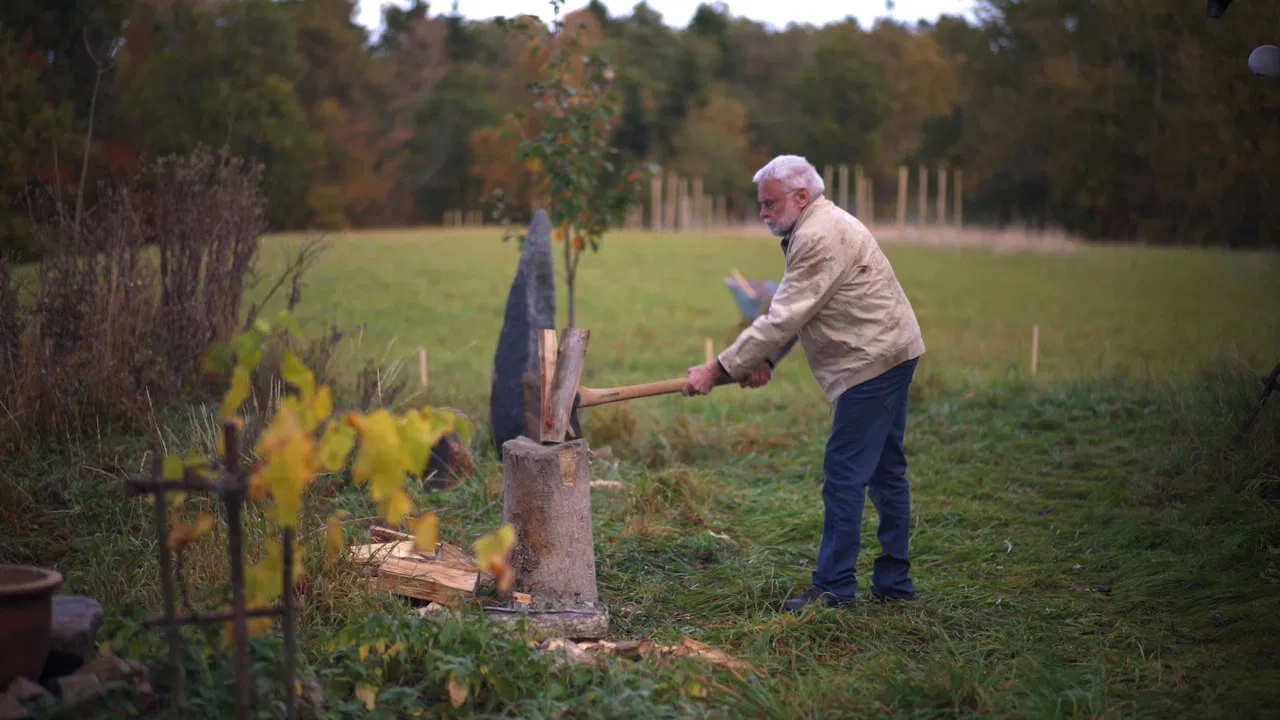 Where Are You? backdrop