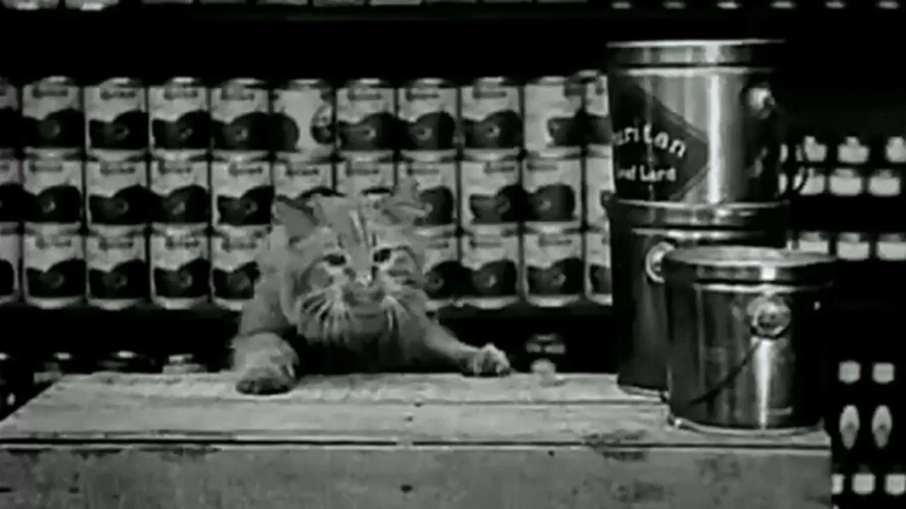 The Grocery Clerk backdrop