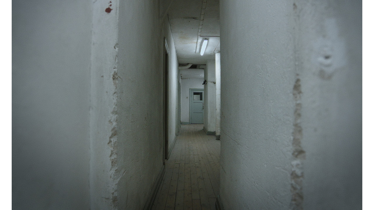 Night Beings backdrop