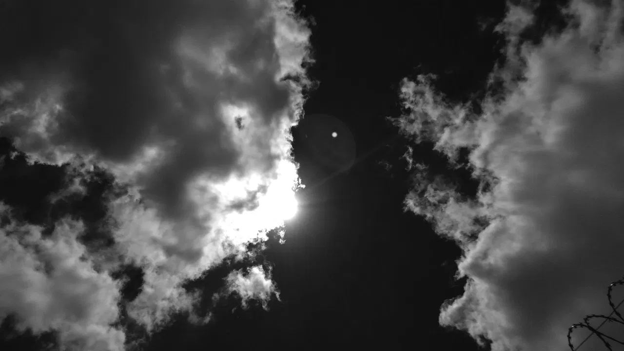 O que houve lá fora? backdrop