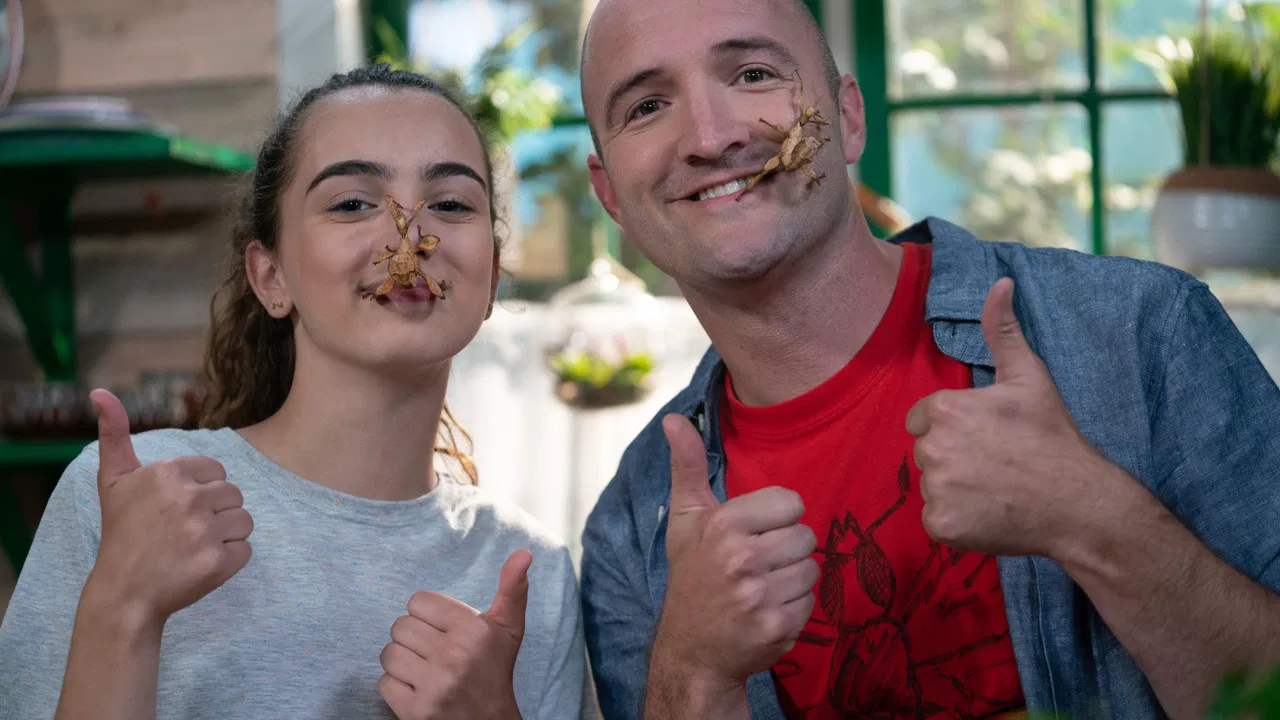 Bestioles et cie backdrop