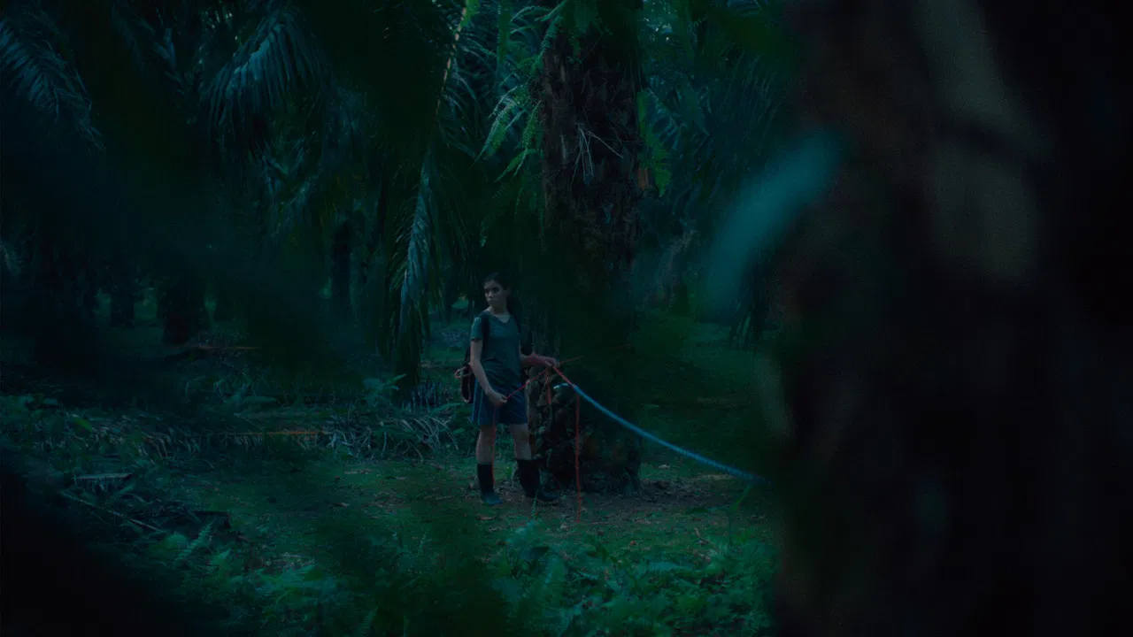 If We Don't Burn, How Do We Light Up the Night backdrop