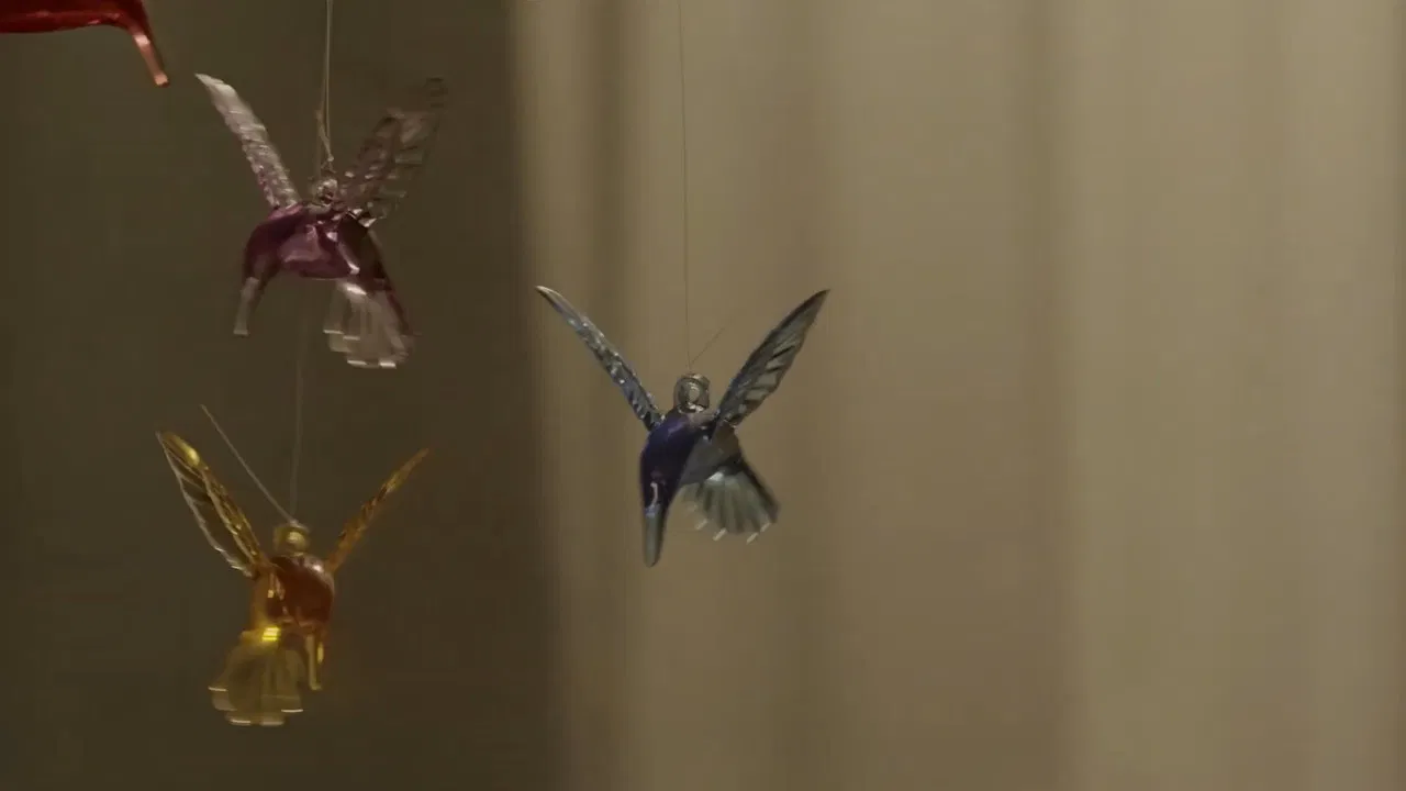 Pollo frito backdrop