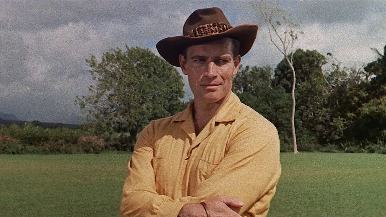 Diamond Head backdrop