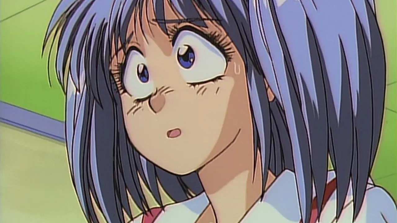 Magical Twilight backdrop