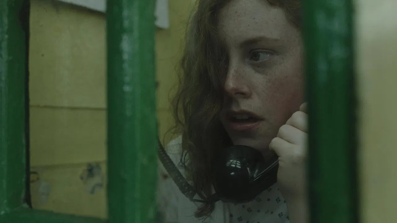 A White Horse backdrop