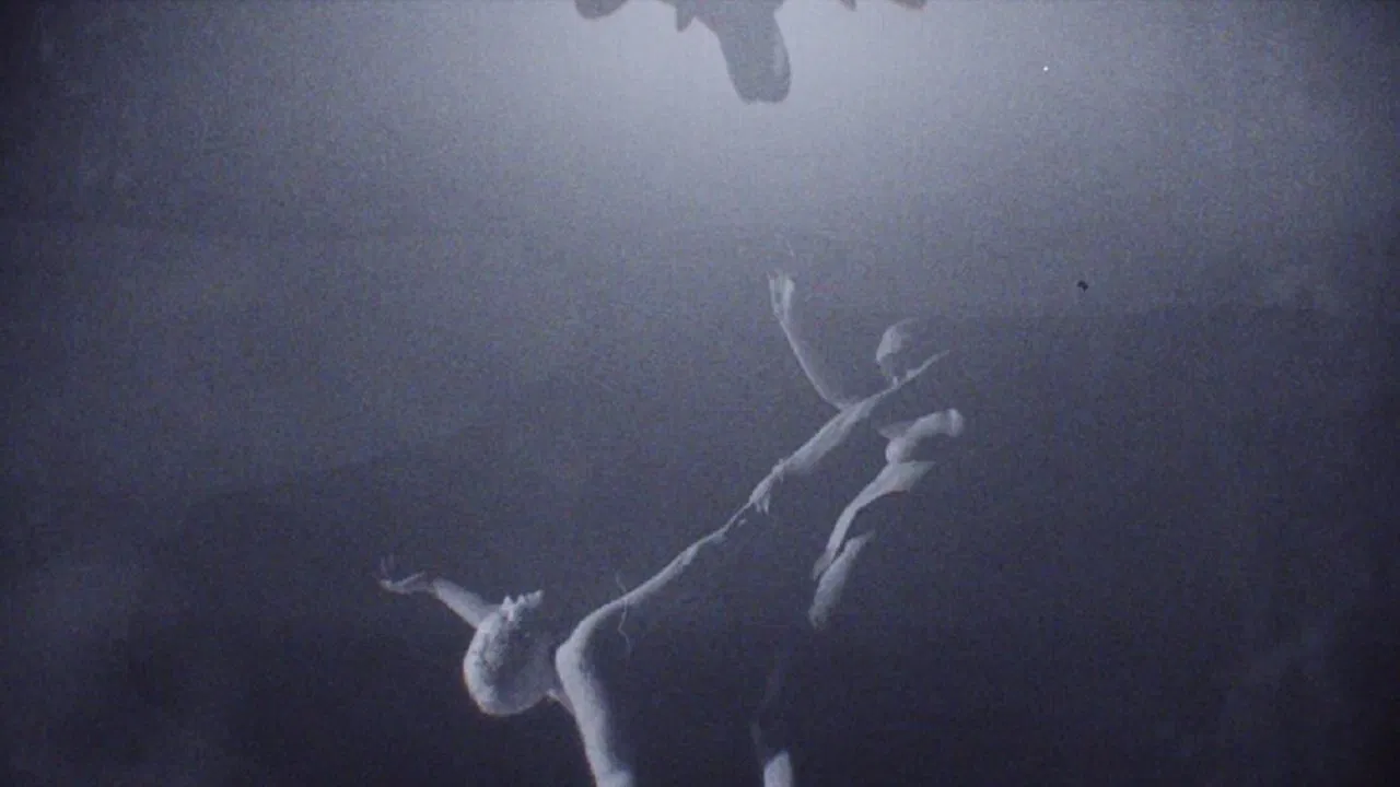 Polia & Blastema backdrop