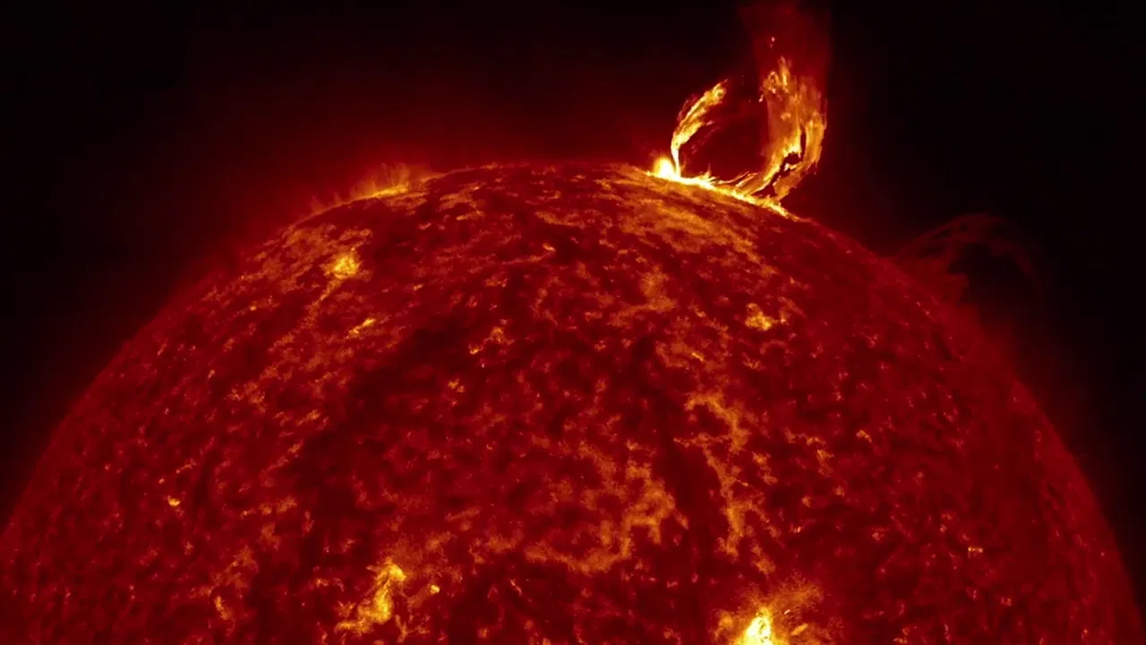 Love Is the Message, the Message Is Death backdrop