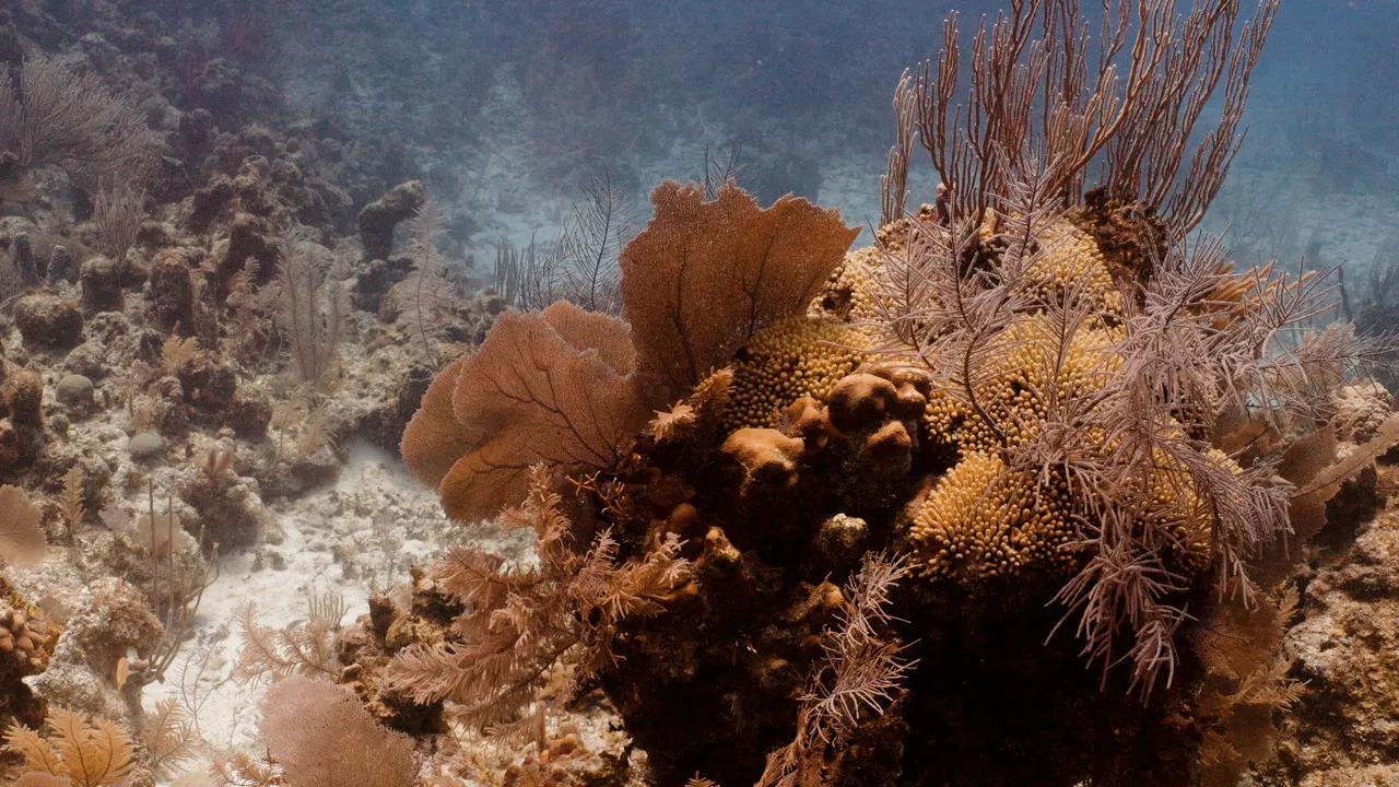 Wealth Untold backdrop