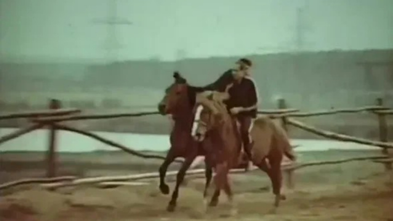 Life in the Saddle backdrop