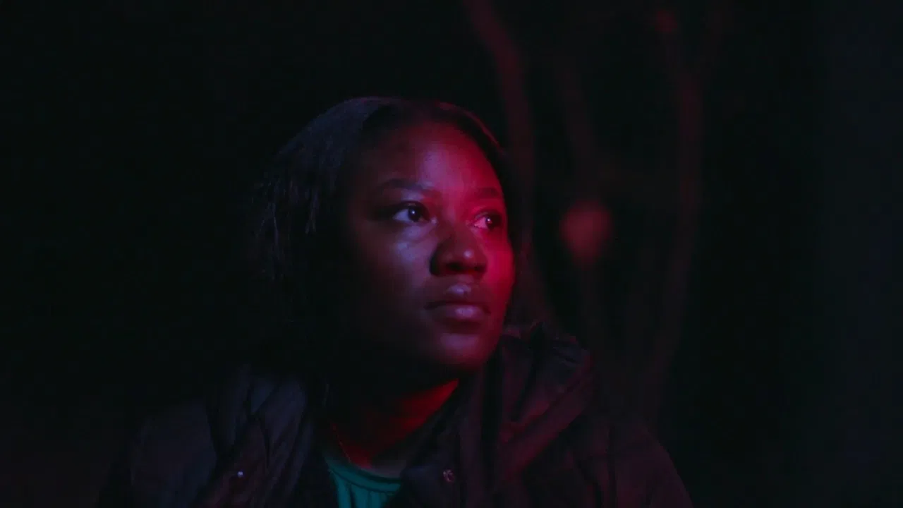 The Buyer's Paradox backdrop