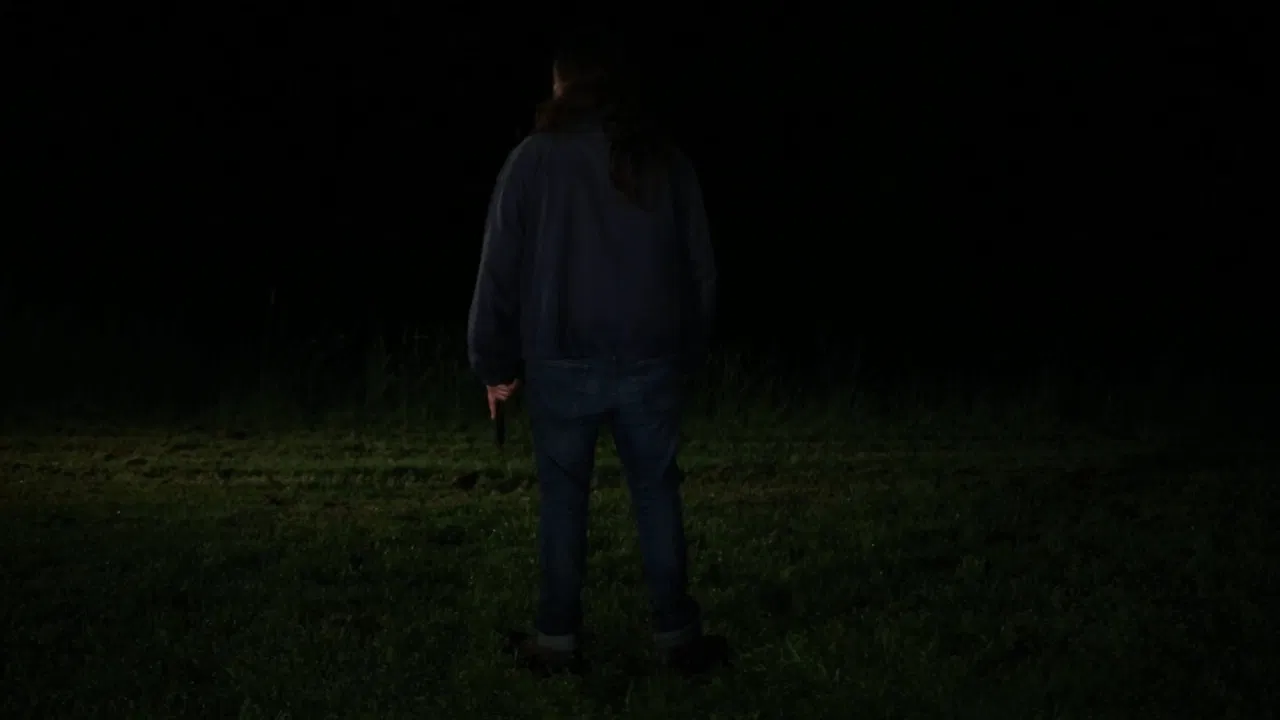 All That You Love Will Be Carried Away backdrop