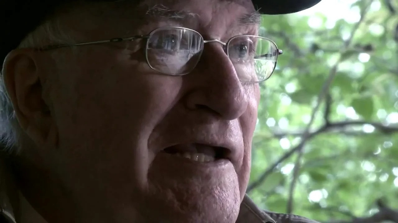 Vicente Aranda, 50 años de cine backdrop