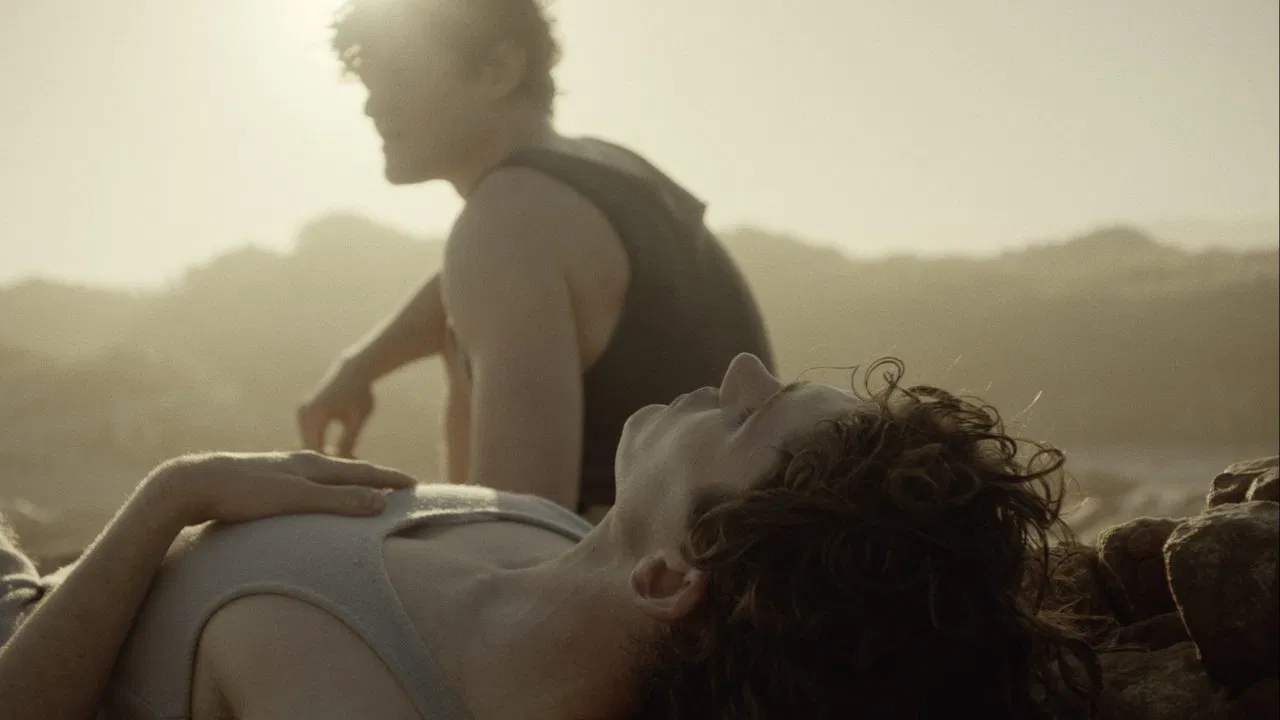 Lilies Not for Me backdrop