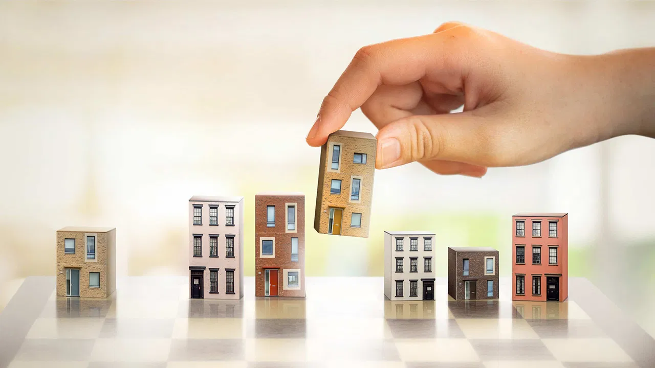 Les rois du bloc backdrop