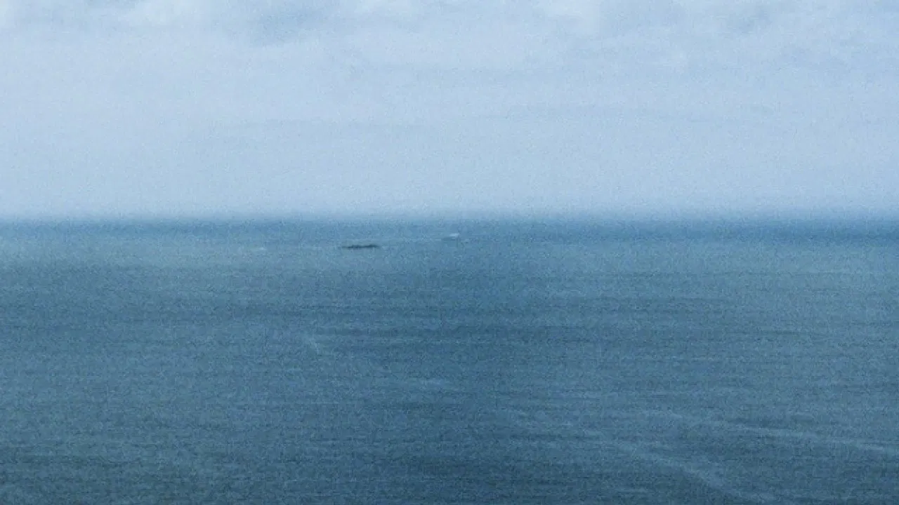 The Water Is Dead backdrop