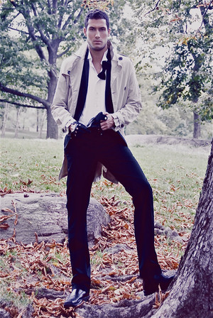 Wayne Stephens photo