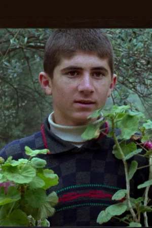 Babek Ahmed Poor photo