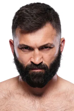 Andrei Arlovski photo