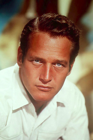 Paul Newman photo