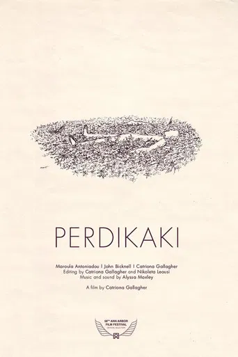 Perdikaki poster