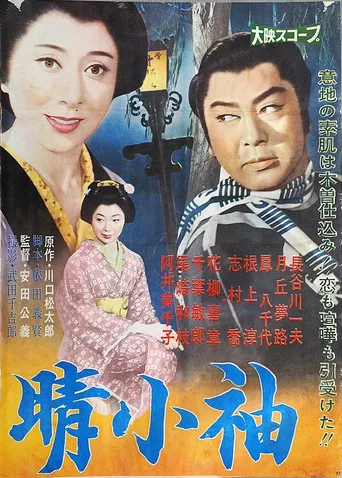 晴小袖 poster