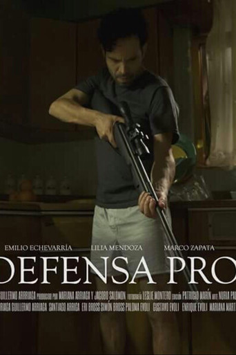 In Self Defense poster