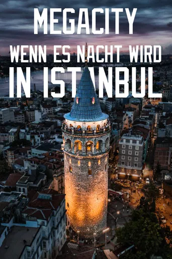 Megacity: When Night Falls in Istanbul poster