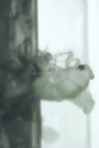 Un Ange Passe poster