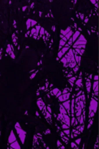 Le Fogile Cadono poster