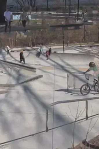 Dimensional Excursions poster