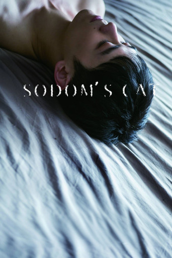 Sodom's Cat poster
