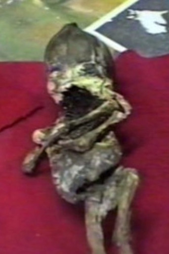 Kyshtym Dwarf poster