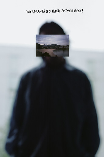 Why Do Ants Go Back To Their Nest? poster