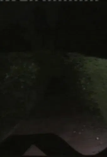 Vórtice Magnético ou Mecanismo de Dobra Fantasmática poster