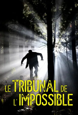 Le Tribunal de l'impossible poster