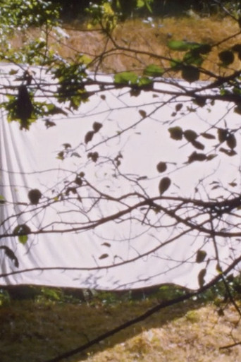 White Screen (for Amy Halpern) poster