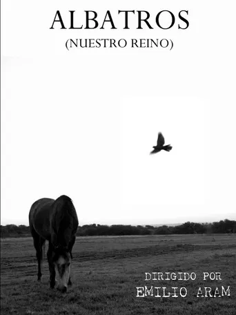 Albatross (Our Kingdom) poster